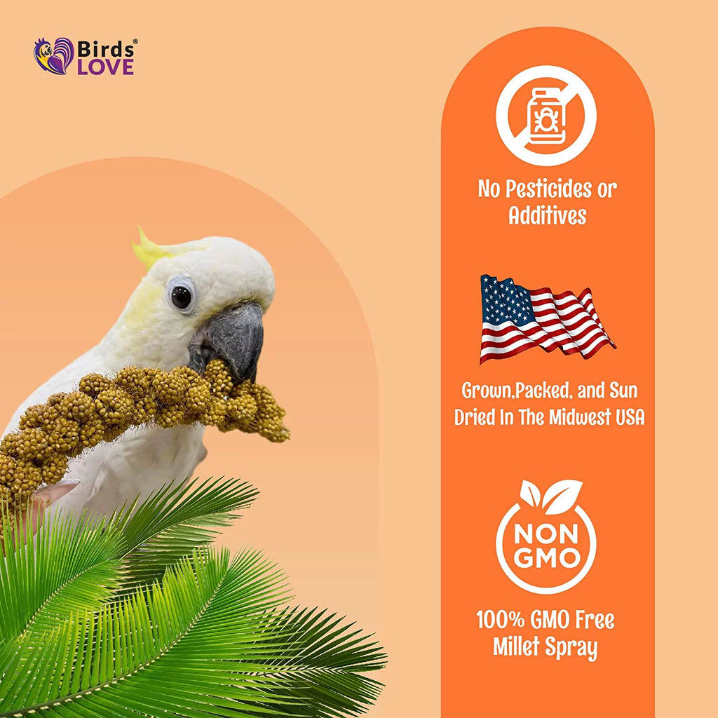 Spray Millet Bird Treat 1LB A930