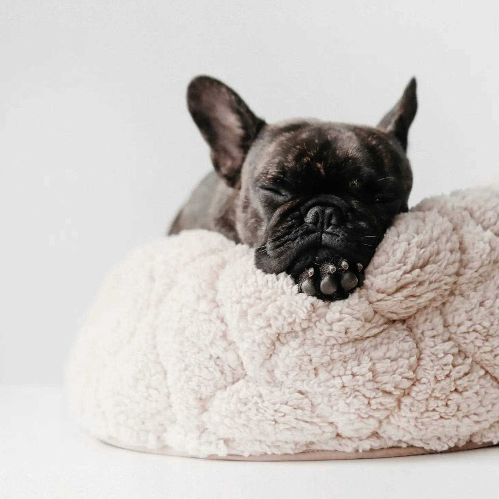Reversible Donut Pet Bed V8651