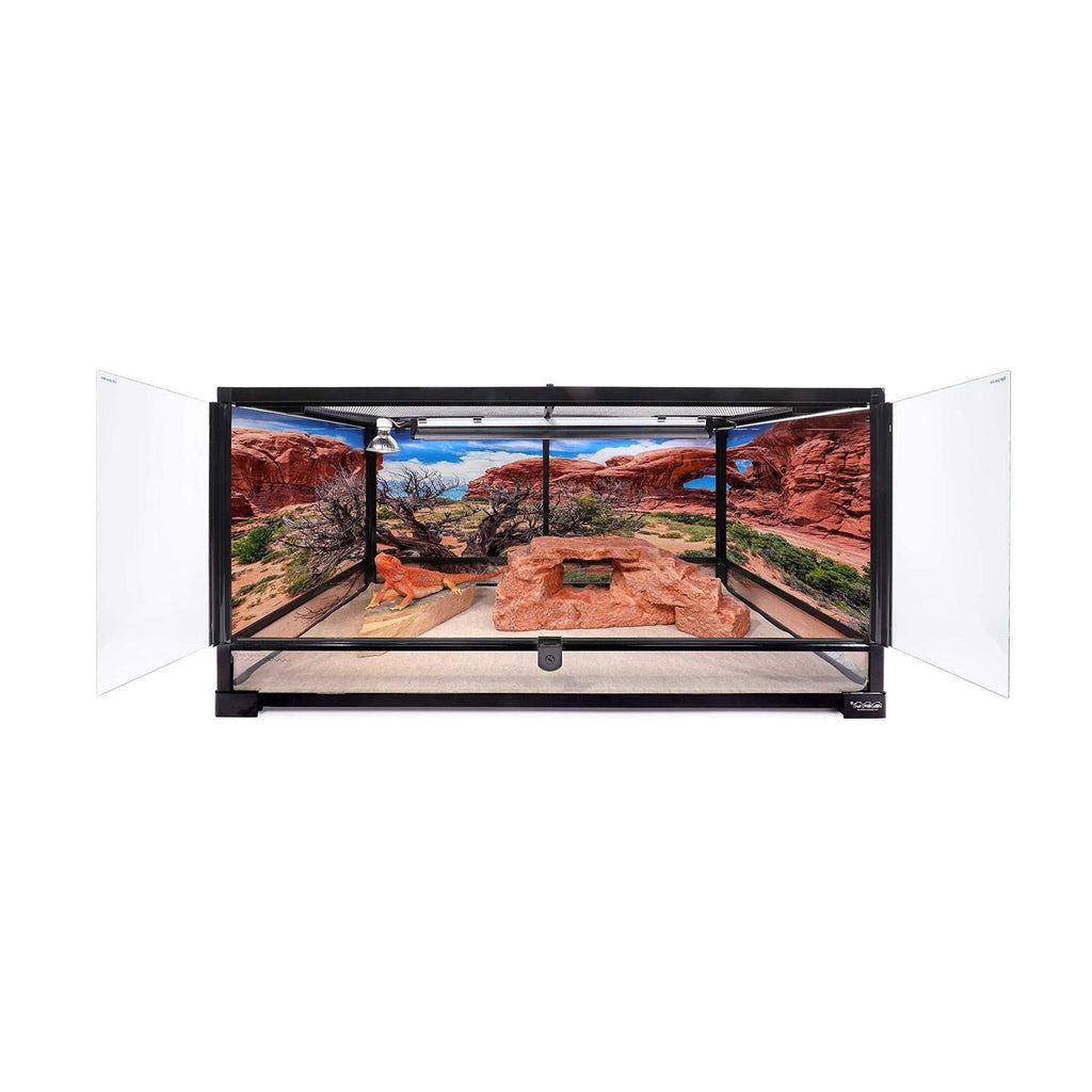 Terrarium Z239