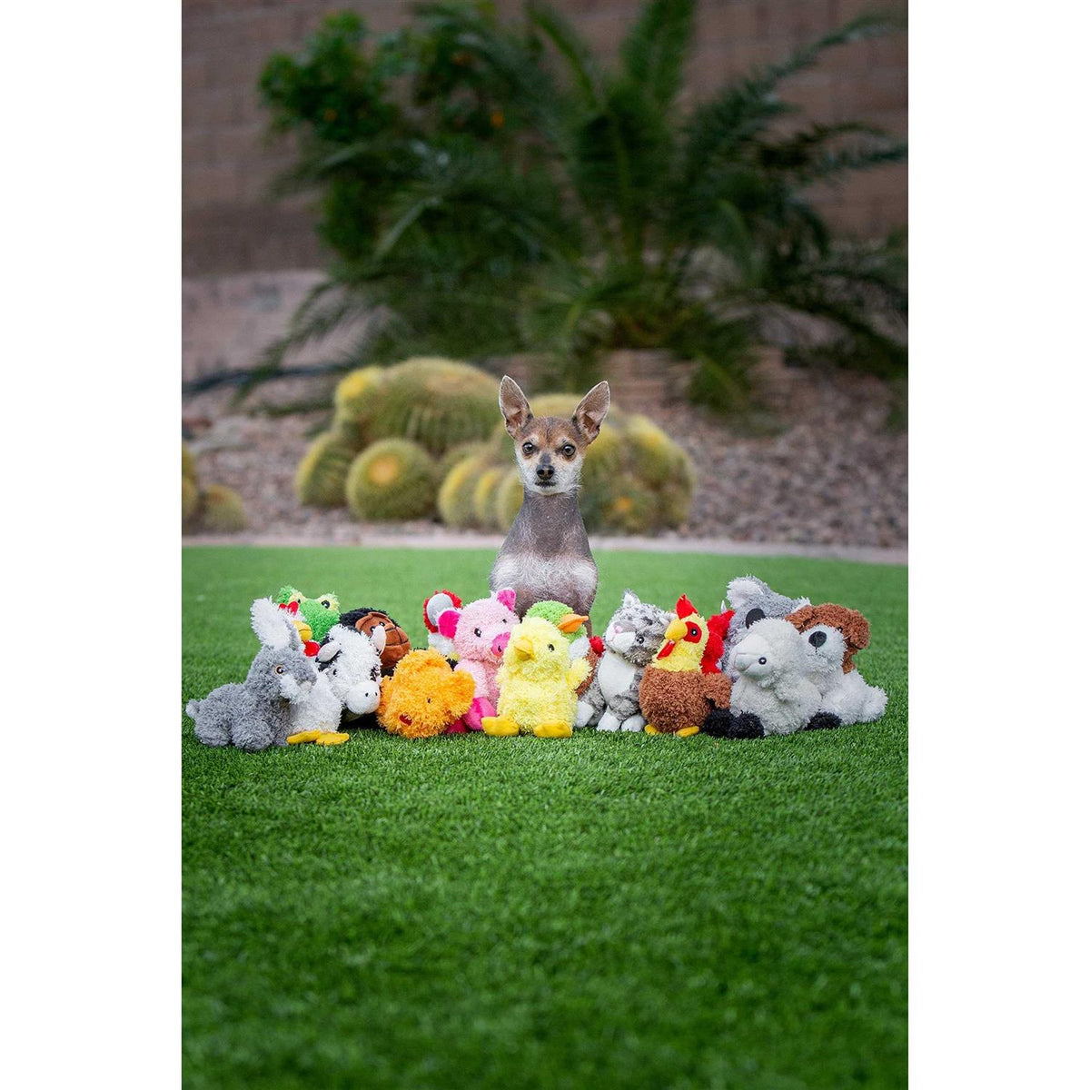 Talking Chicken Dog Toy O61001