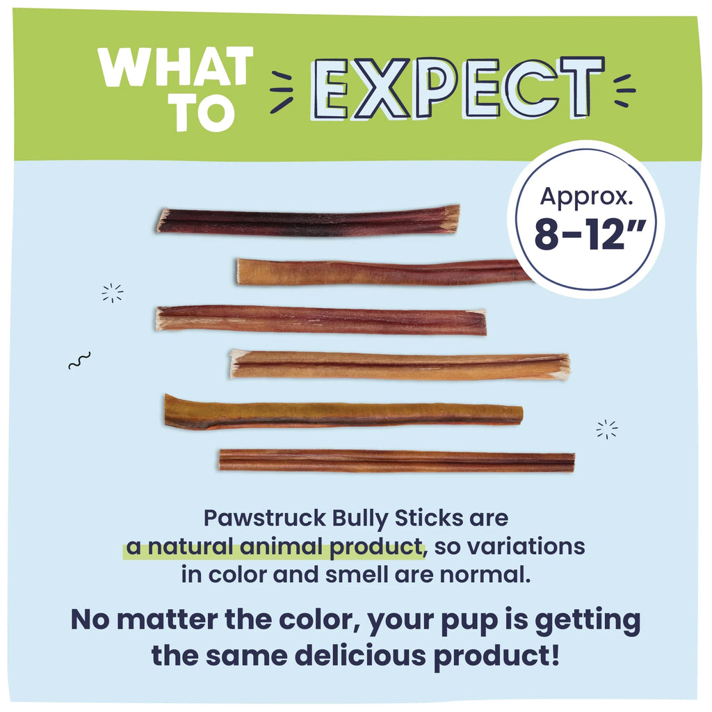 Natural 8-12" Beef Bully Sticks for Dogs 1 lb. Bag J871