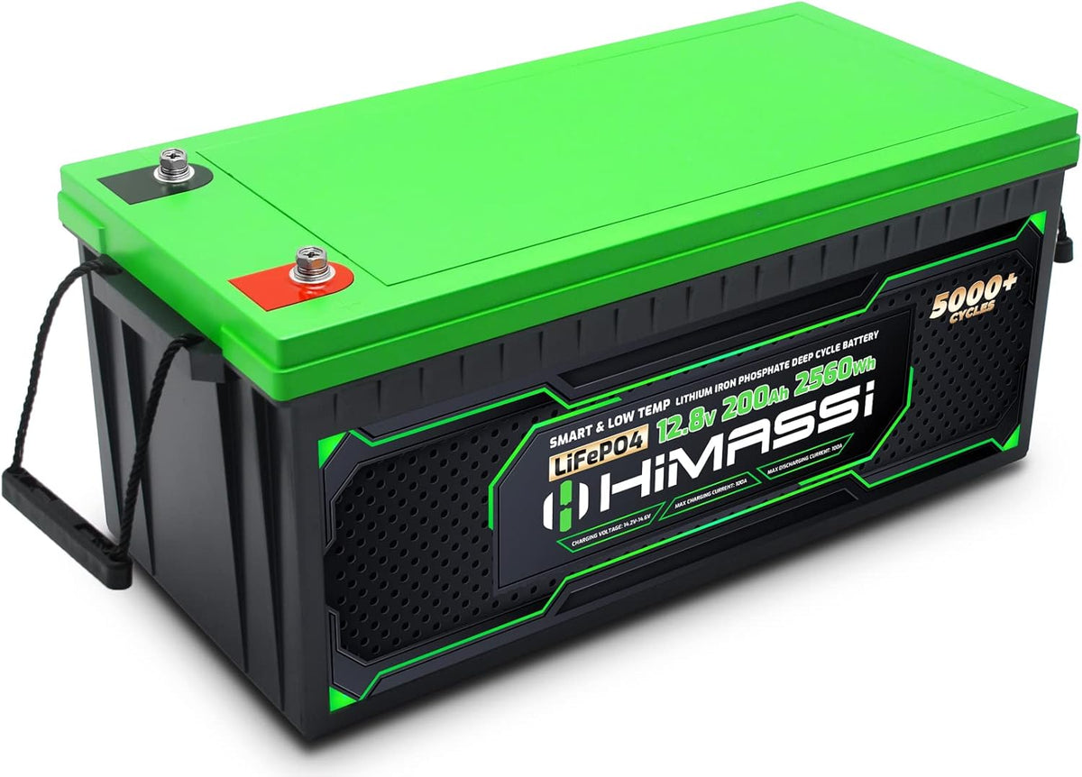 12V 100Ah LiFePO4 Battery 50A BMS Deep Cycle Battery Pack R6124