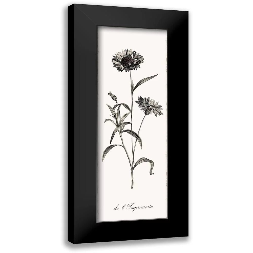 Black Modern Framed Art Print K472