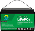 12V 100Ah LiFePO4 Deep Cycle Rechargeable Lithium Battery L53921