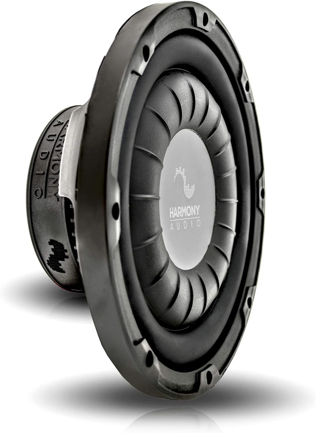 Dual 10 Sub Box & Amp Y540