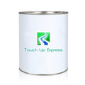 Silver Metallic Single Stage Paint X21798