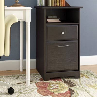 2-Drawer Vertical Filing Cabinet D20696