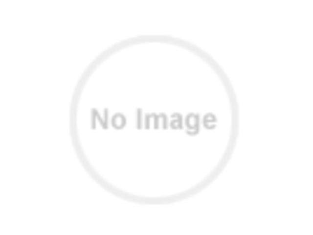 Vertical Cable Manager A2915