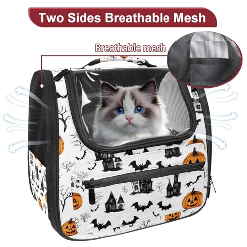 Airline Approved Pet Carrier Bag T63720