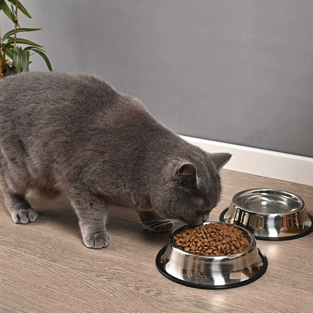 2 Packs Stainless Steel Dog Bowl with Anti-Skid Rubber Base J2451