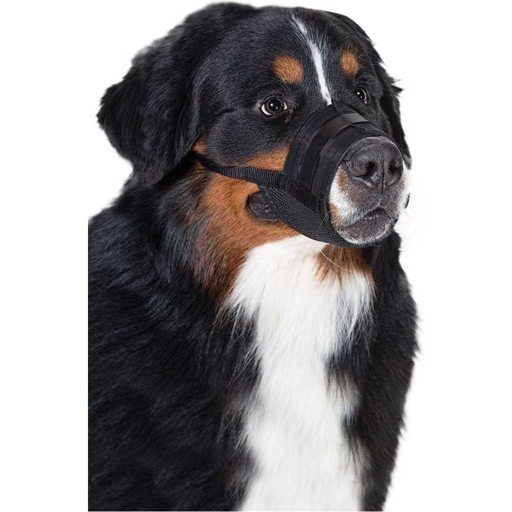 Dog Muzzle U6940
