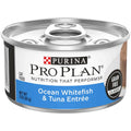 Grain Free Pate Wet Cat Food R931