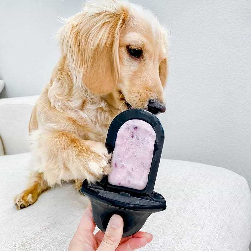 Dog Crate Training Aid M429