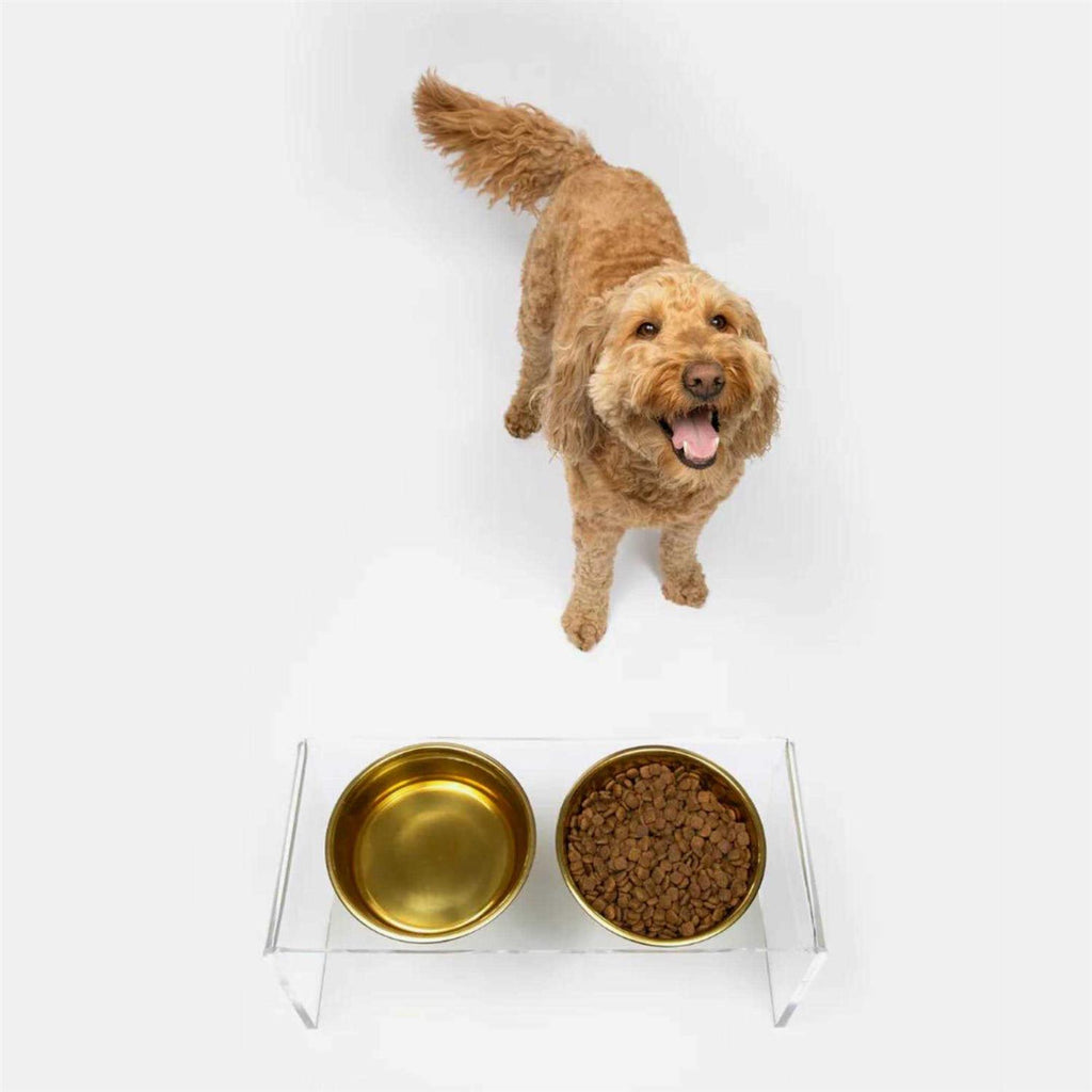 Clear Double Bowl Pet Feeder P121