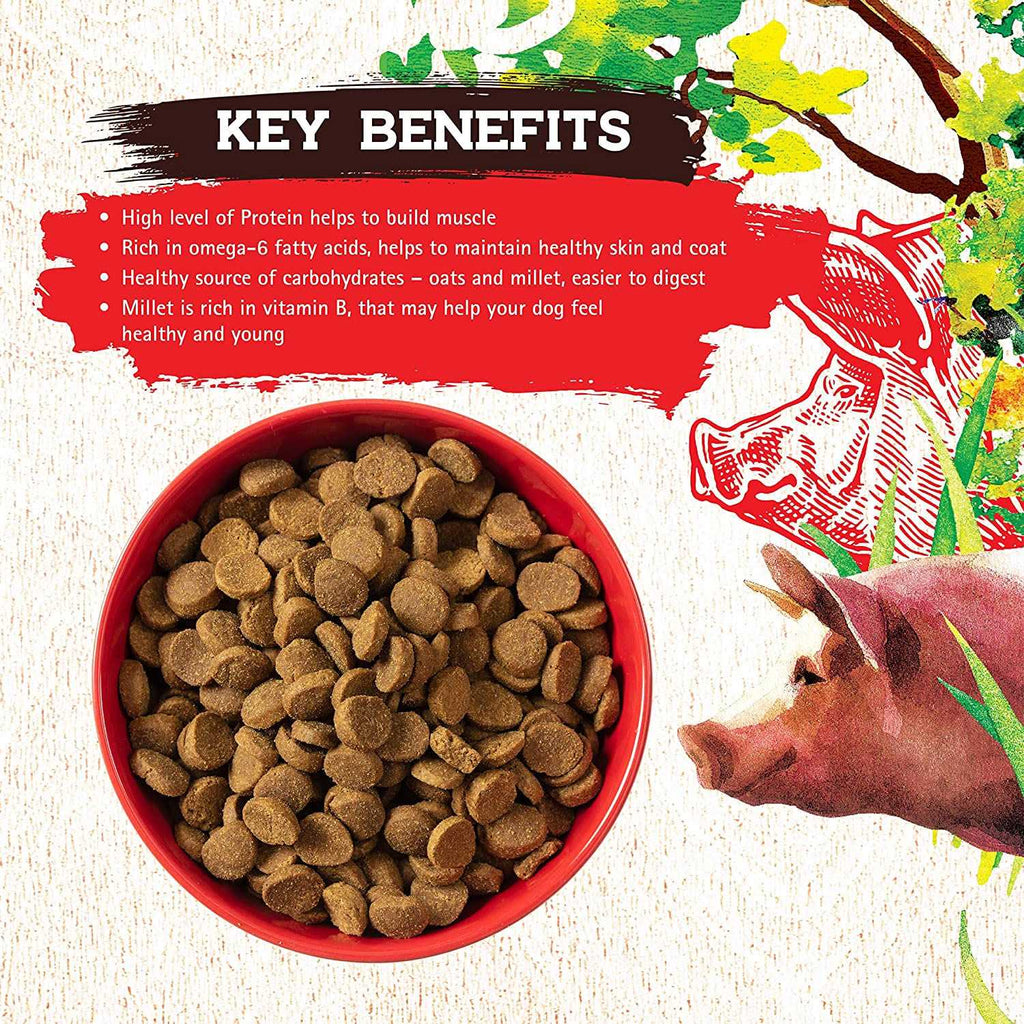 Pork Recipe Dog Food C2221