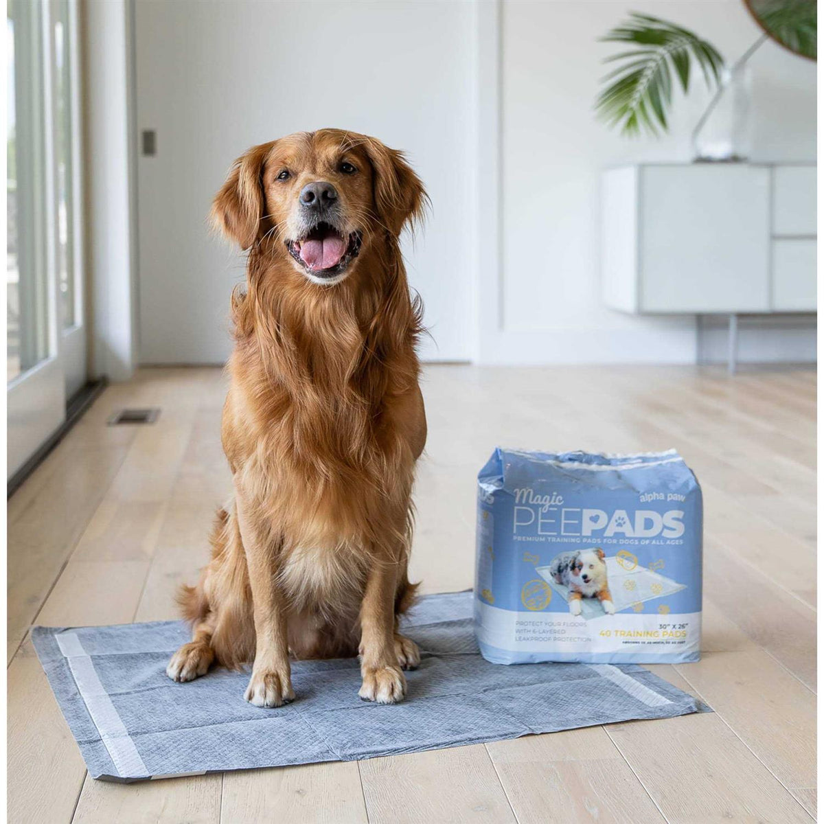 Dog Pee Pads Y362
