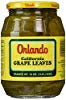 16 Ounce Grapes Leaves Y242016