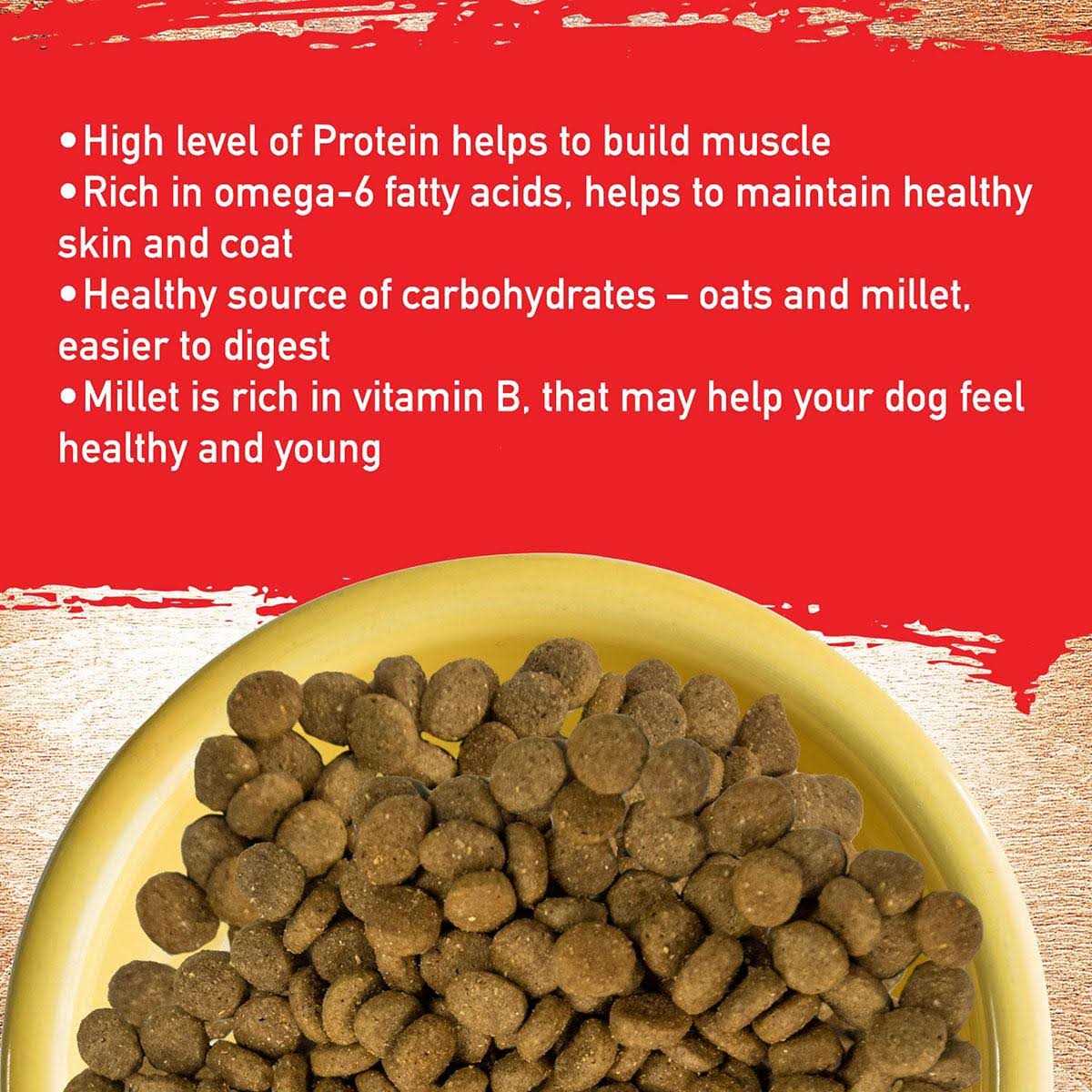 Pork Recipe Dog Food C2221