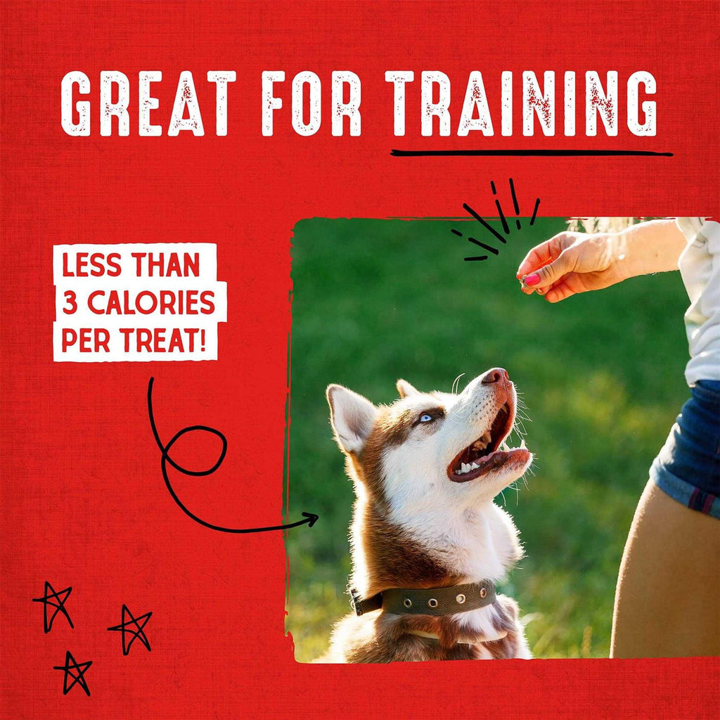 Dog Treats M353