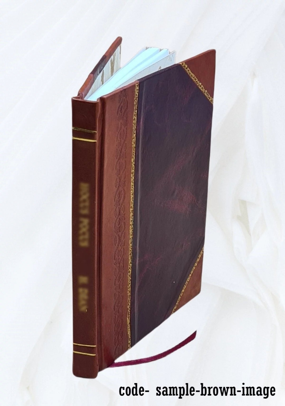 Mémoire explicatif du zodiaque chronologique et mythologique N5839