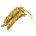 Spray Millet Bird Treat 1LB A930