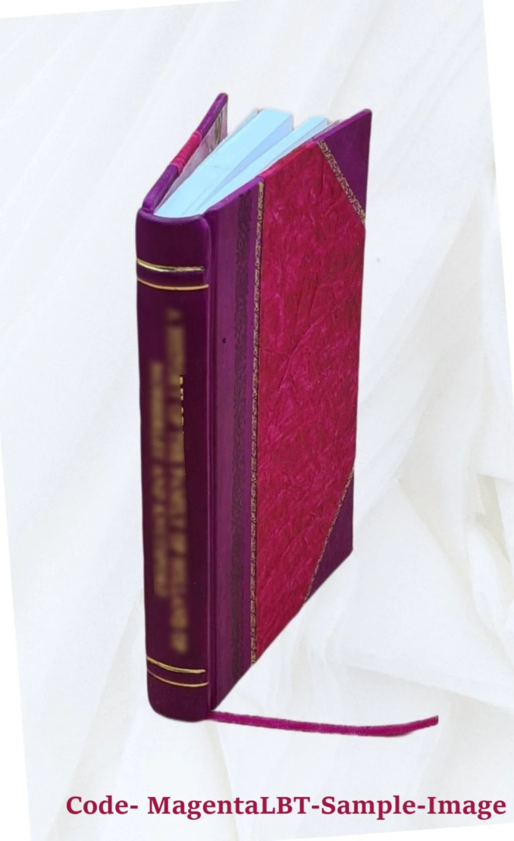 Mémoire explicatif du zodiaque chronologique et mythologique N5839