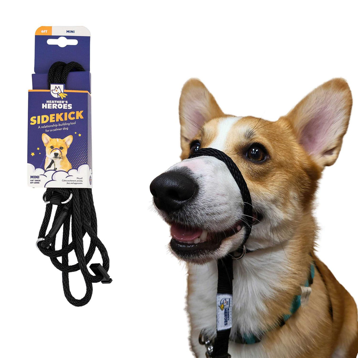 Pet Supplies W424