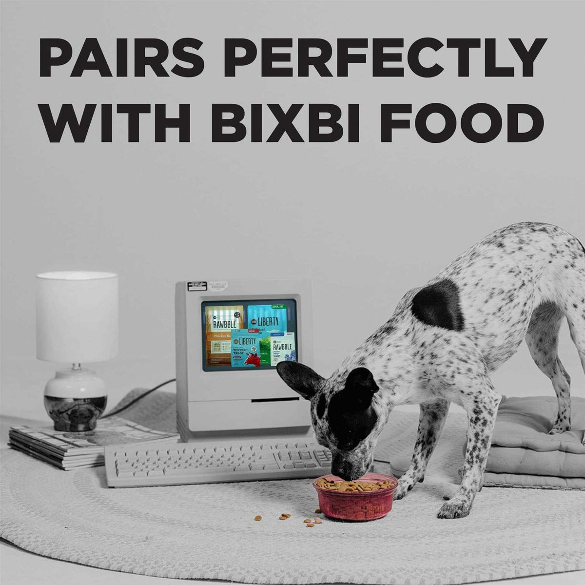 Dog Treats R1689