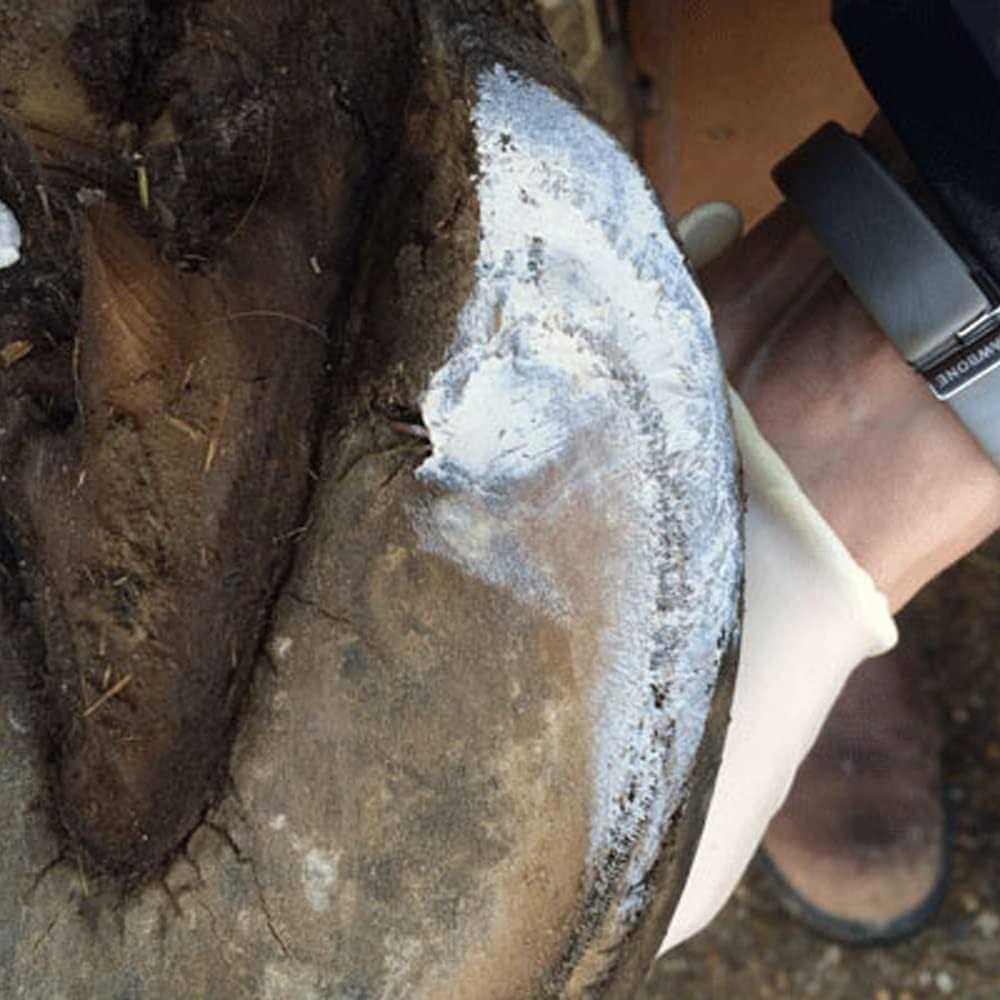 Hoof Clay 750g P60320