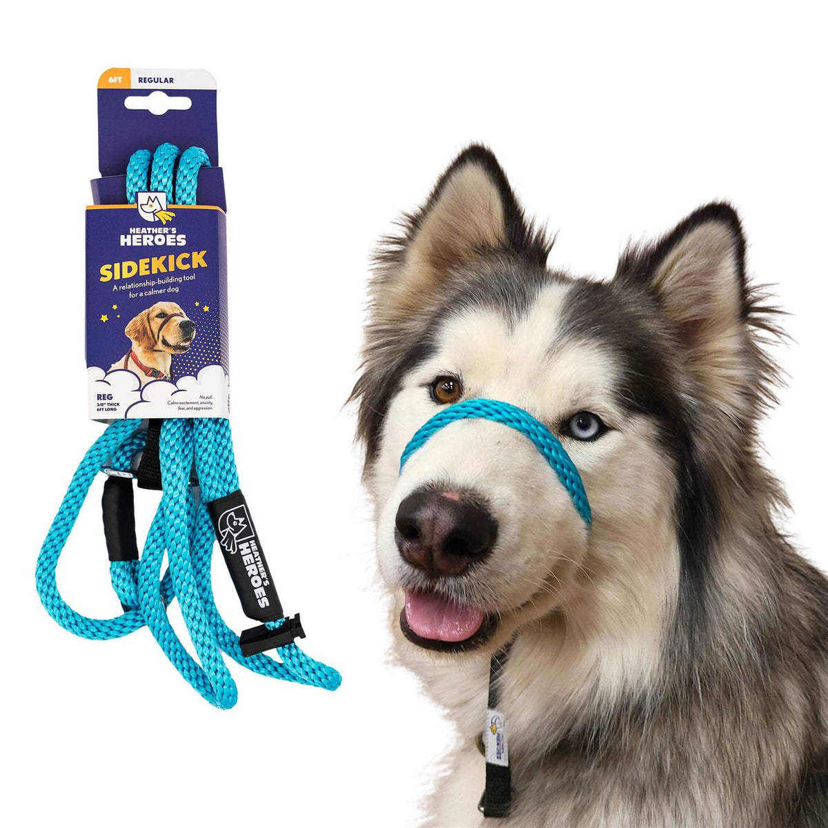 Pet Supplies W424
