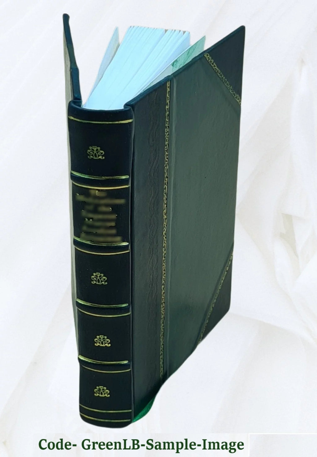 Leather Bound O35007