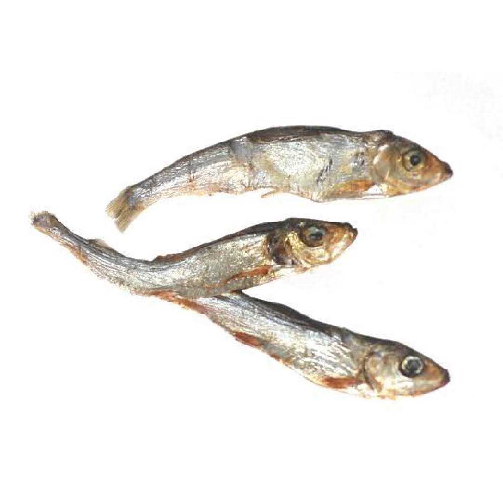 Wild Caught Baltic Sprat Dog Treats P803