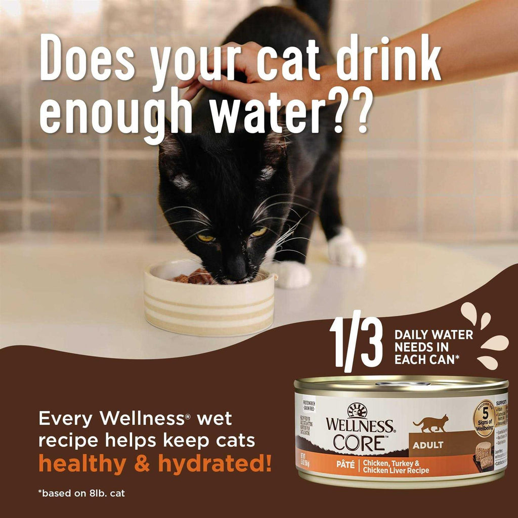 Wet Cat Food Pate Recipe H377741